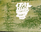 LP Ital Dub - AUGUSTUS PABLO